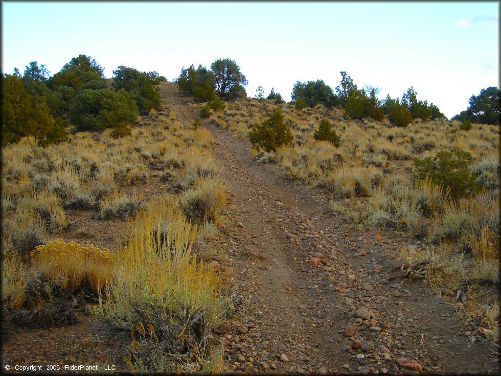 Mount Seigel OHV Trails