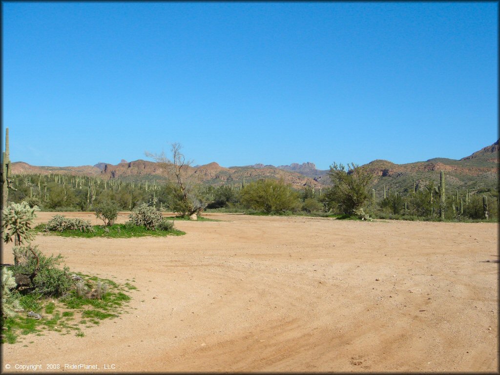 Flat parking area surrounded by saguaro and cholla cacti.