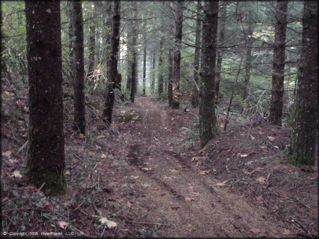 Terrain example at South Valley Resource Area Trail