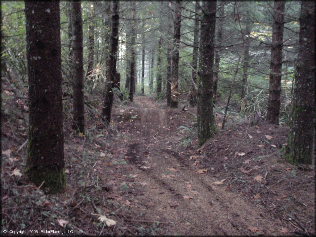 South Valley Resource Area Trail