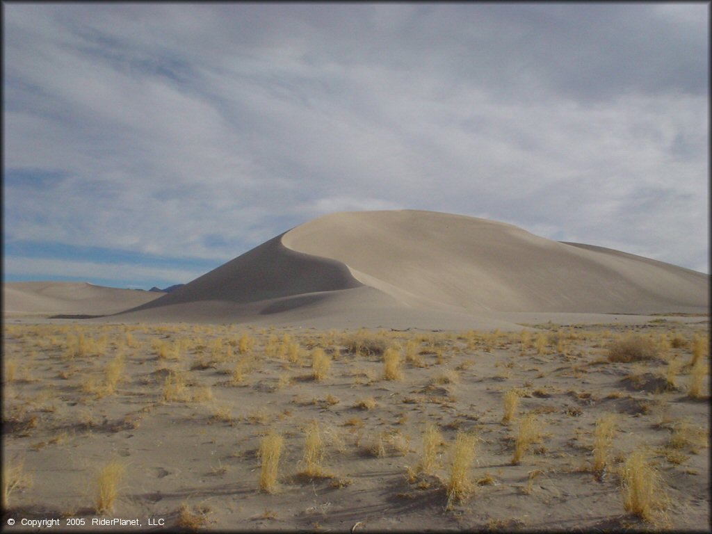 Tonopah Dunes Dune Area