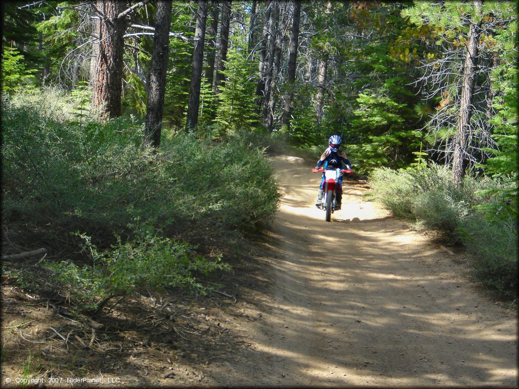 Honda CRF Motorcycle at Corral OHV Trail
