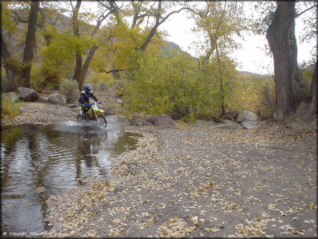 Peavine Canyon Trail