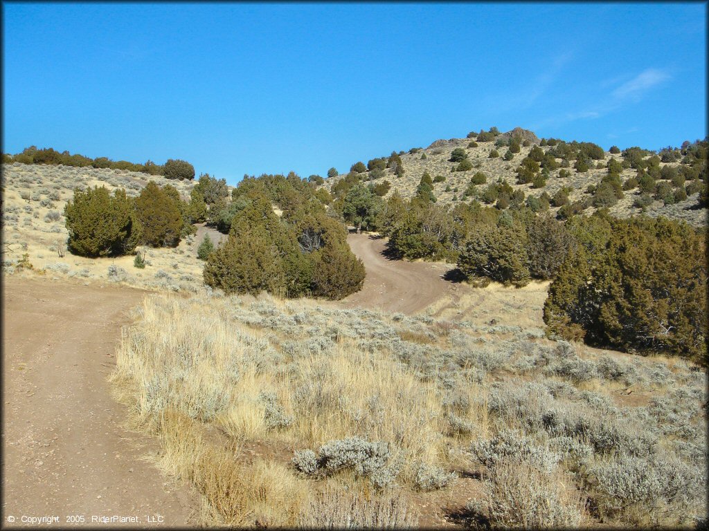 A trail at Washoe Valley Jumbo Grade OHV Area