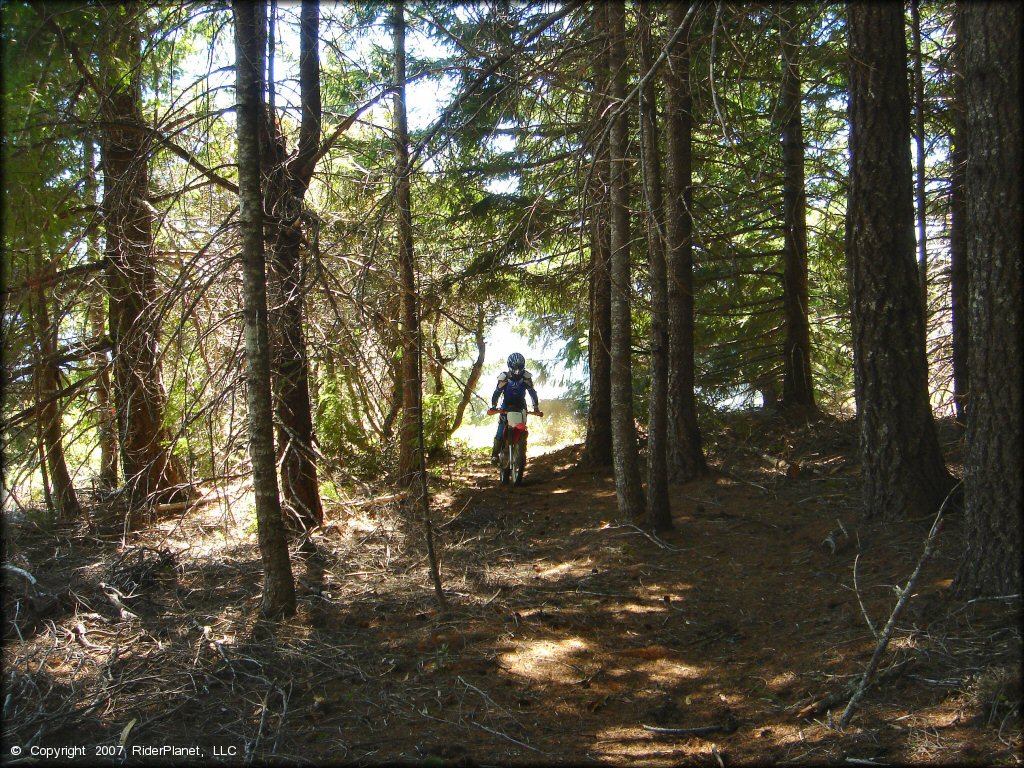 Woman riding a Honda CRF Motorbike at High Dome Trail