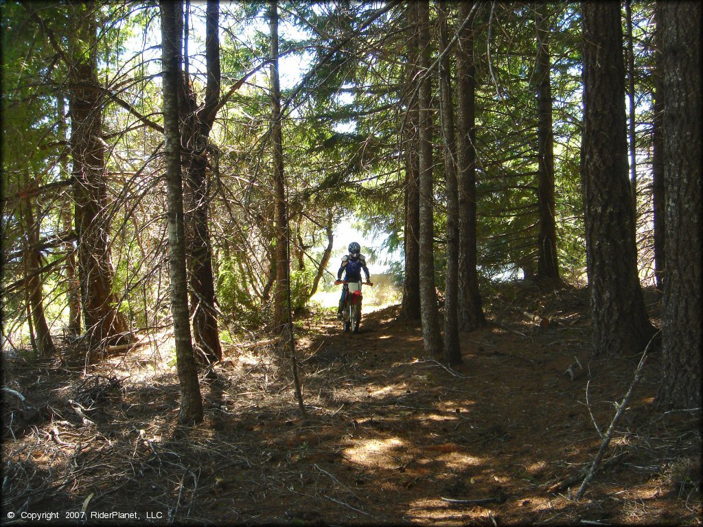 Girl on Honda CRF Motorcycle at High Dome Trail