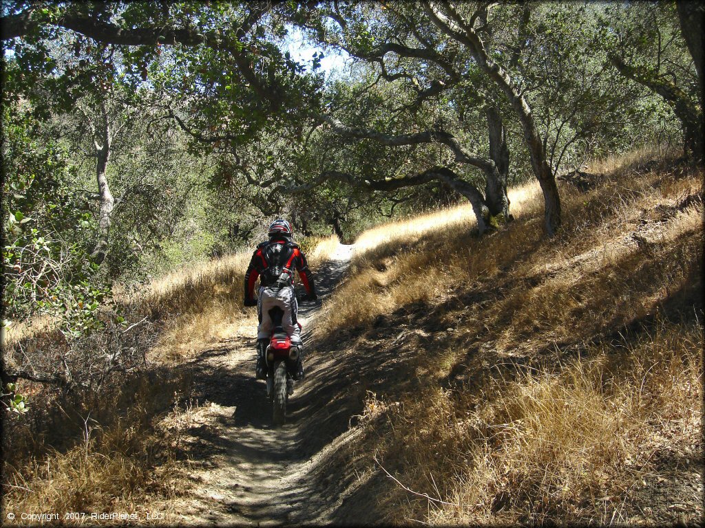 Honda CRF Dirtbike at Santa Clara County Motorcycle Park OHV Area