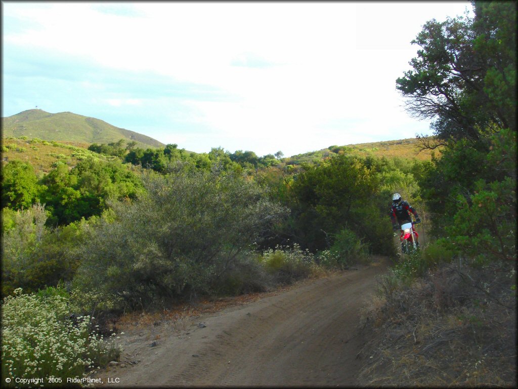 Man on Honda CRF250X riding through section of smooth ATV trail.