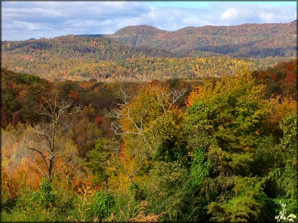 Fall foliage at Windrock Park.