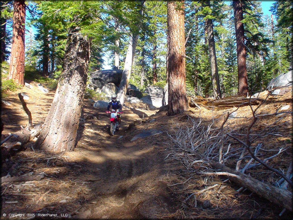 Honda CRF Dirt Bike at Genoa Peak Trail