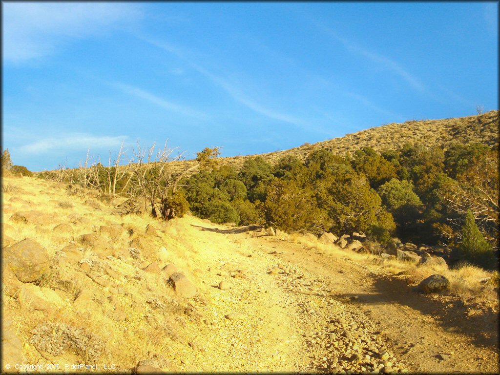 A trail at China Springs Trail