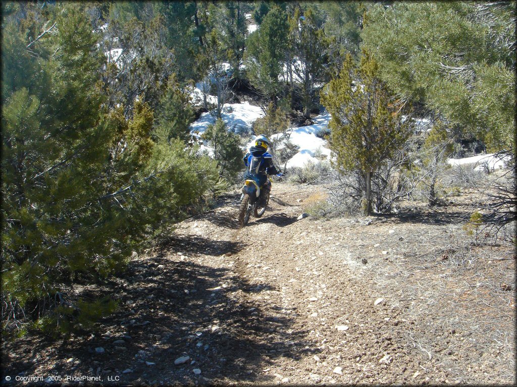 OHV at Ward Charcoal Ovens State Historic Park Trail