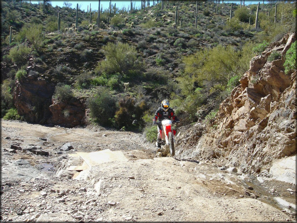 Man on Honda dirt bike going up rocky ledge.