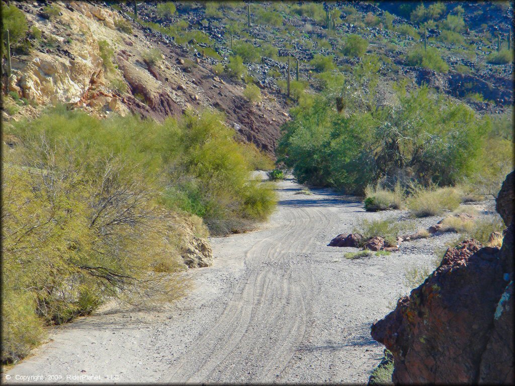 A close up photo of wide sand wash surrounded by desert scrub brush, boulders and saguaro cactuses.