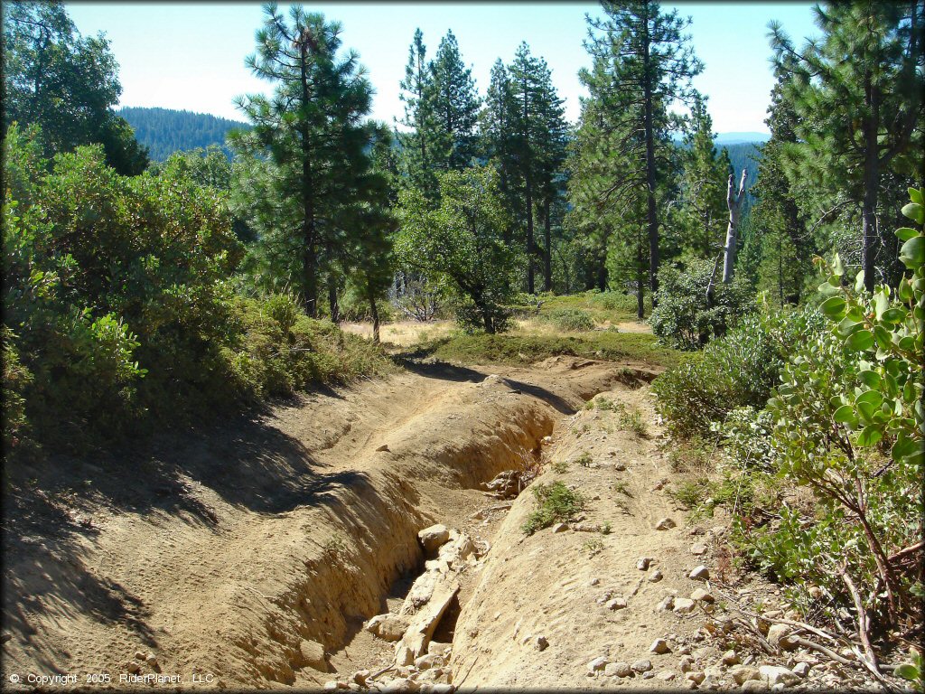 A trail at Interface Recreation Trails