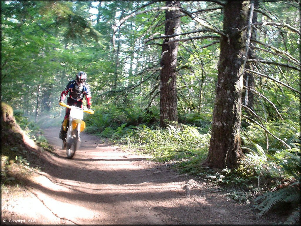 OHV at Trask OHV Area Trail