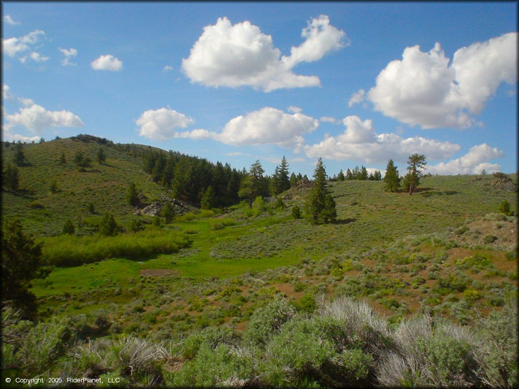 Scenery from Bull Ranch Creek Trail