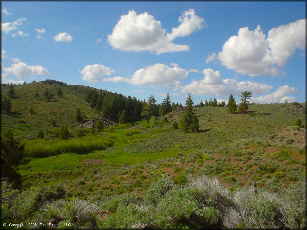 Scenic view at Bull Ranch Creek Trail