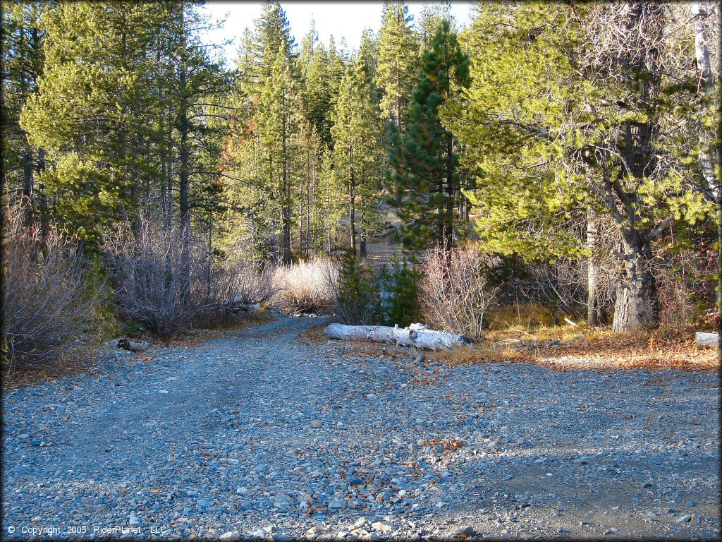 Terrain example at Jackson Meadows Trail