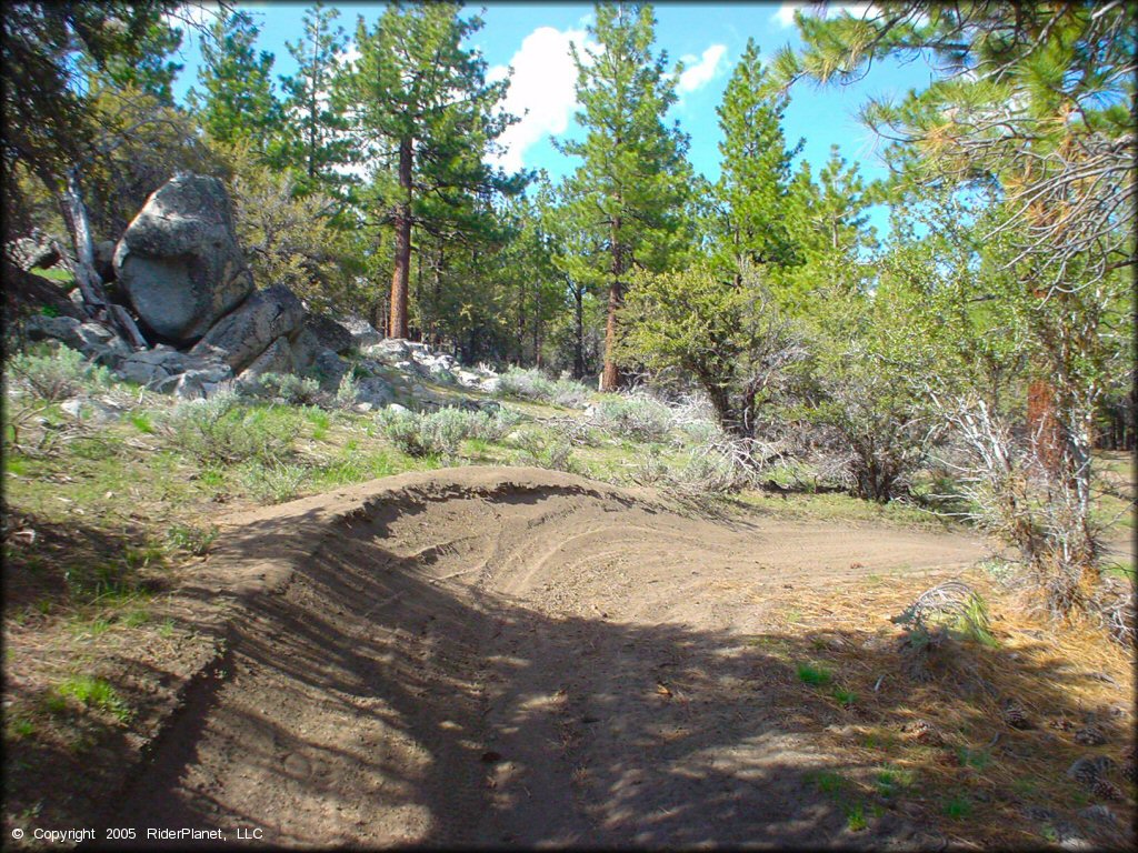 Example of terrain at Bull Ranch Creek Trail