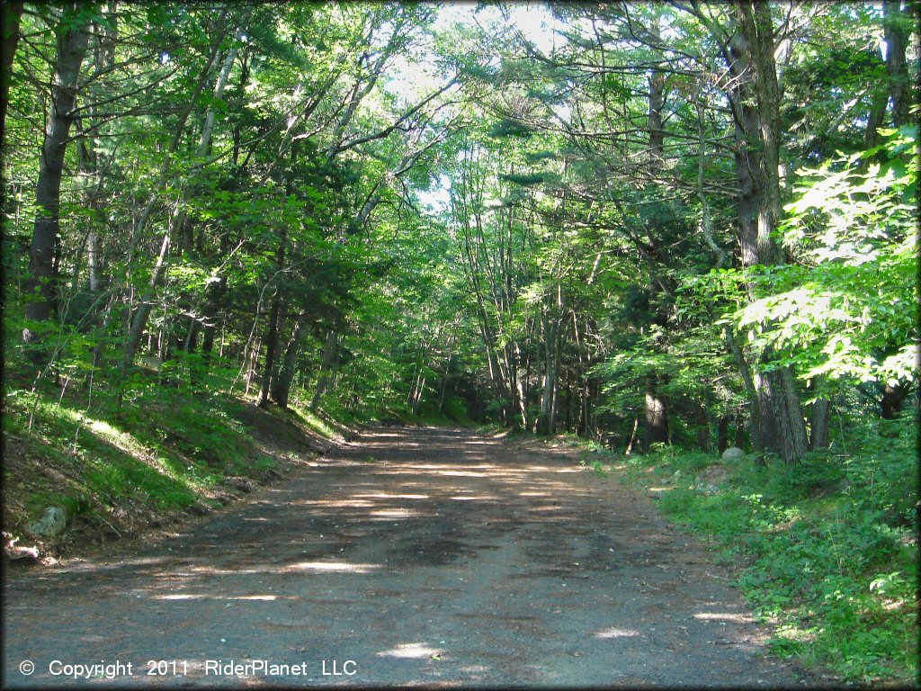 Wide dirt access road surrounded by trees.