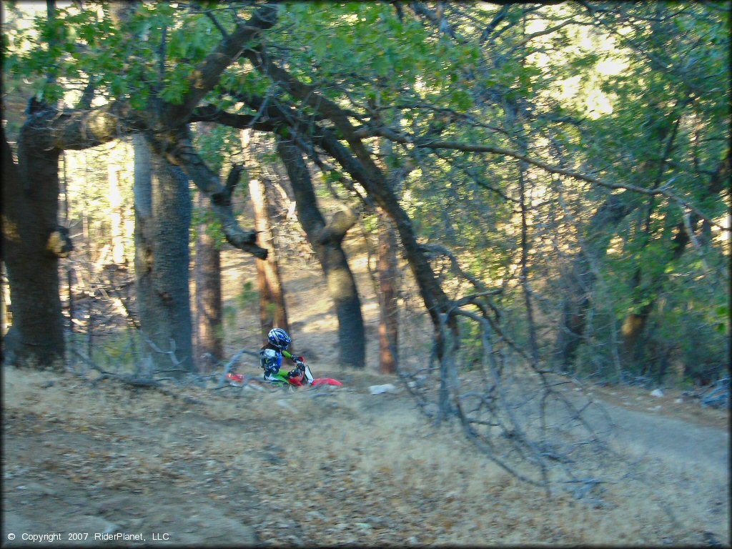 Honda CRF Motorcycle at Lake Arrowhead Trail