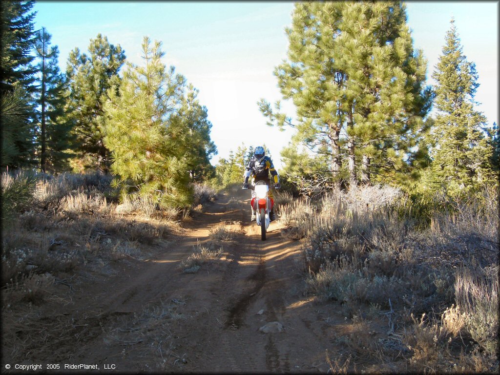 OHV at Billy Hill OHV Route Trail