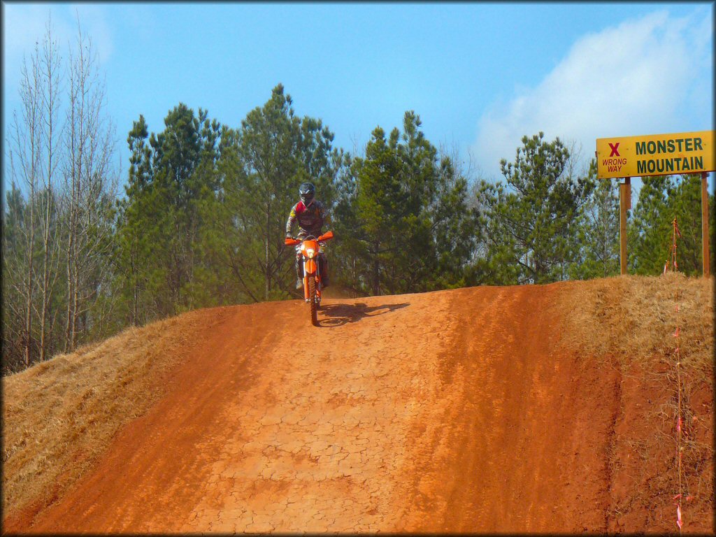 KTM dirt bike on motocross track surrounded by pine trees.