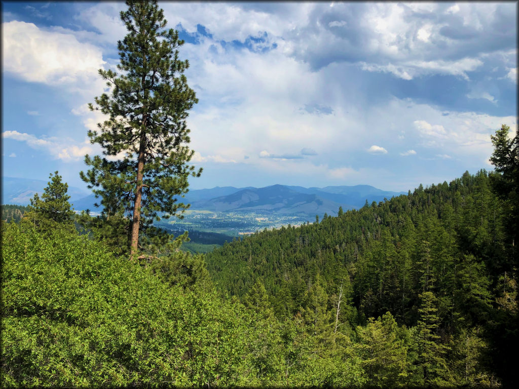 Blue Mountain Recreation Area Trail