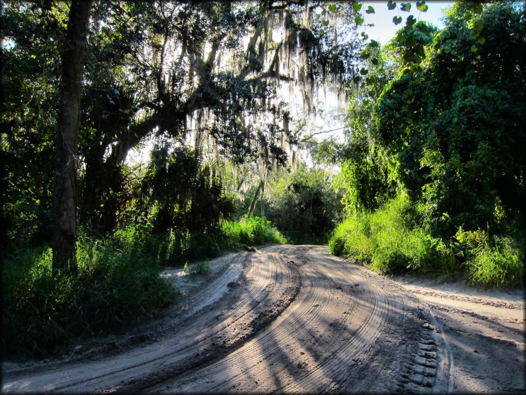 Peace River Campground Trail