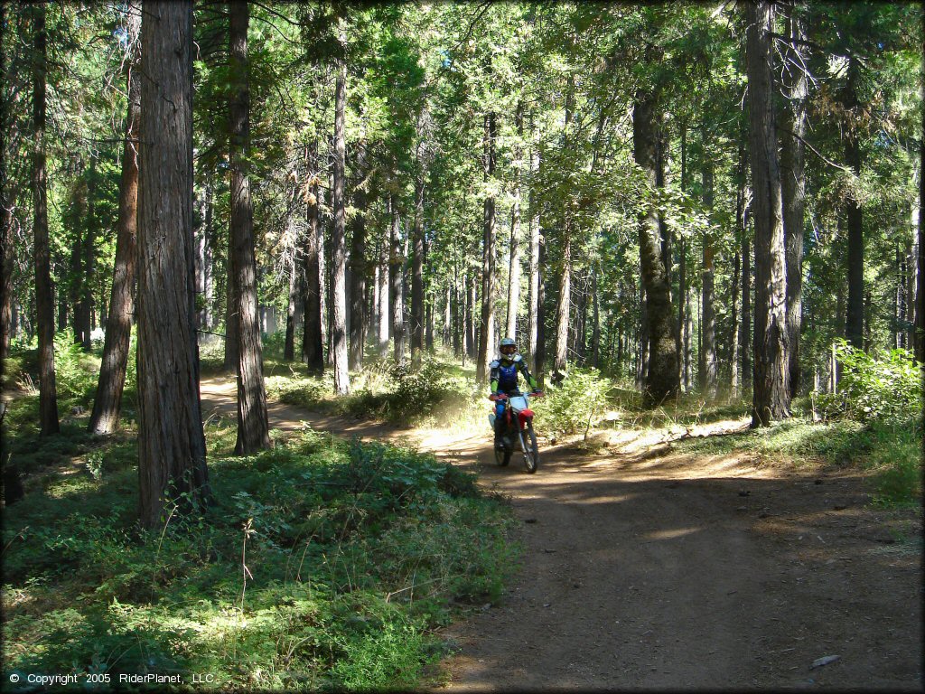 Honda CRF Motorbike at Miami Creek OHV Area Trail