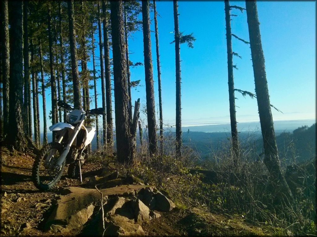 Green Mountain State Forest Trail