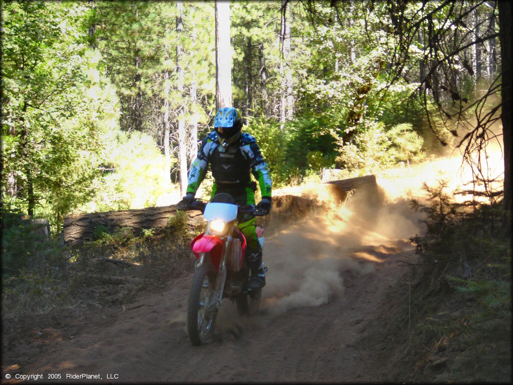 Honda CRF Motorcycle at Gold Note Trails