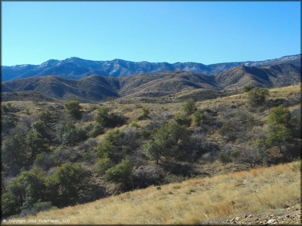 Scenery from Mt. Lemmon Control Road Trail