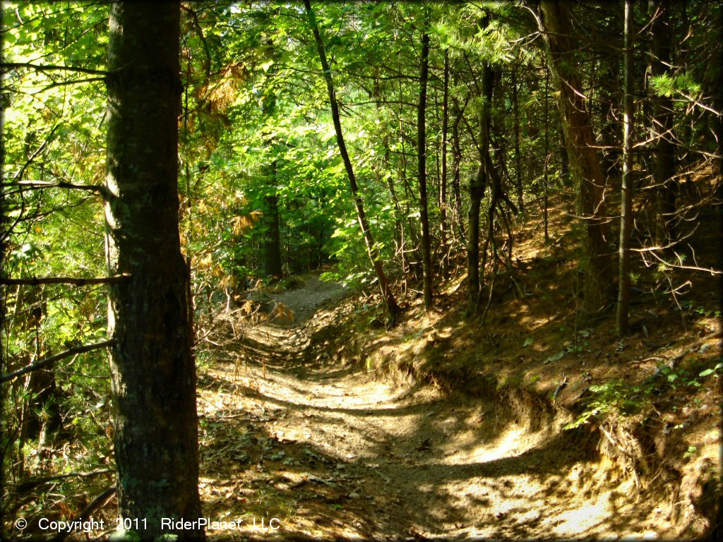 Some terrain at Freetown-Fall River State Forest Trail