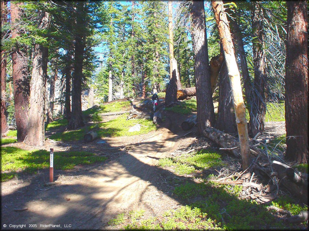 Honda CRF Off-Road Bike at Genoa Peak Trail