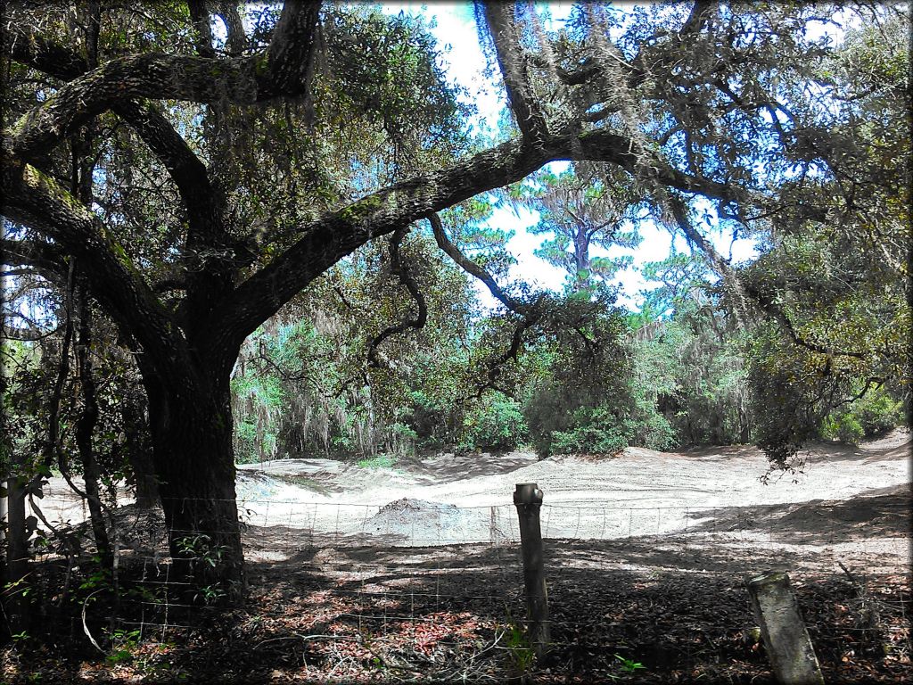 Croom Motorcycle Area Trail