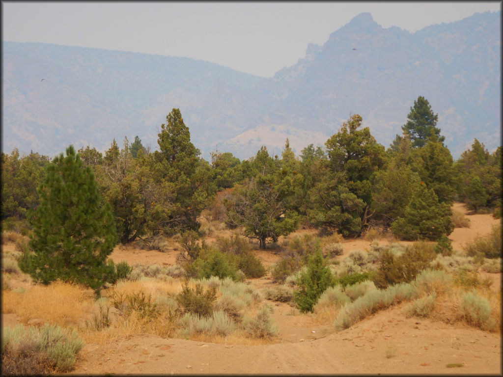 Juniper Flats OHV Area Trail