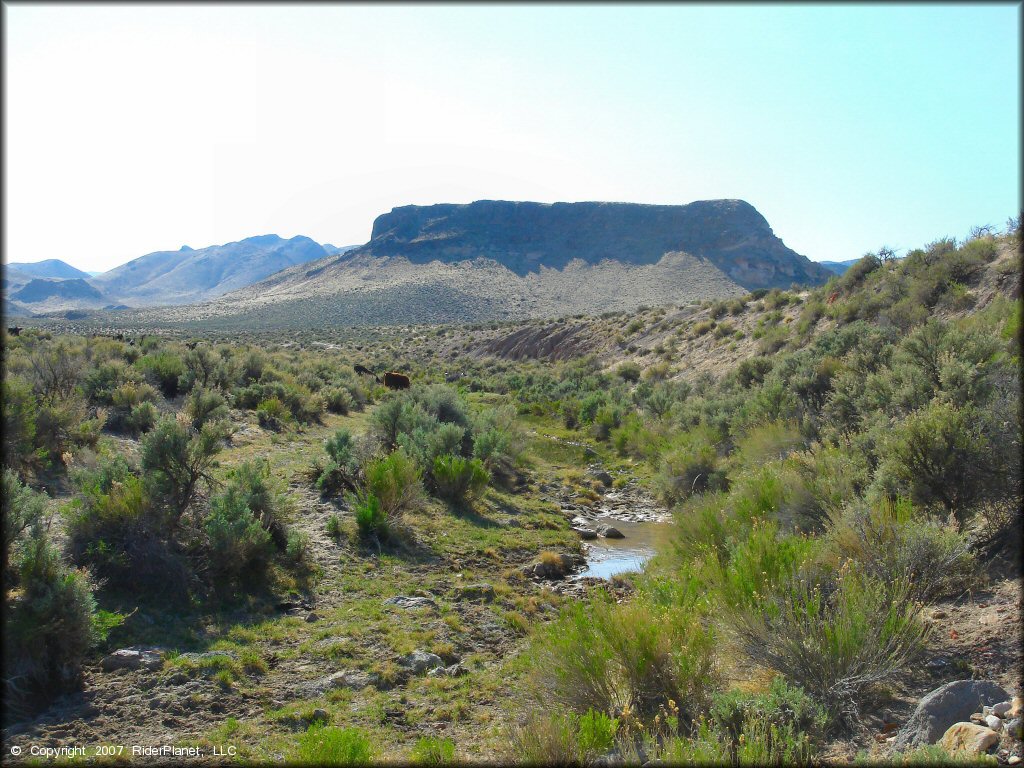 Scenery from Mullen Creek Trail