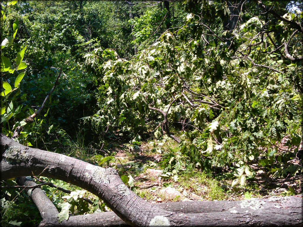 Terrain example at Rocky Run ATV Trail