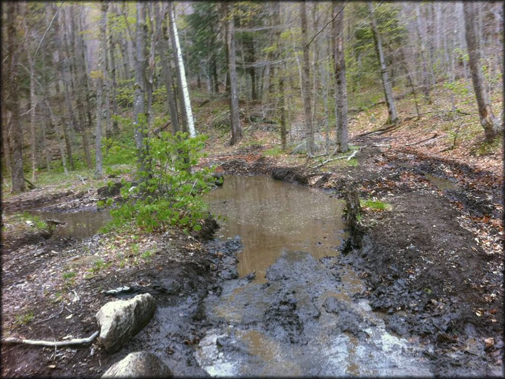 Example of terrain at October Mountain State Forest Trail