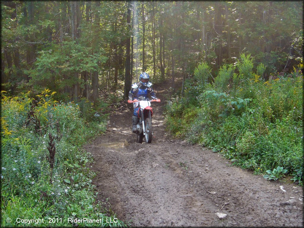 Honda CRF Dirtbike at Tall Pines ATV Park Trail