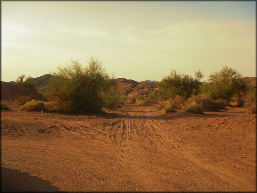 Crossroads OHV Area Trail