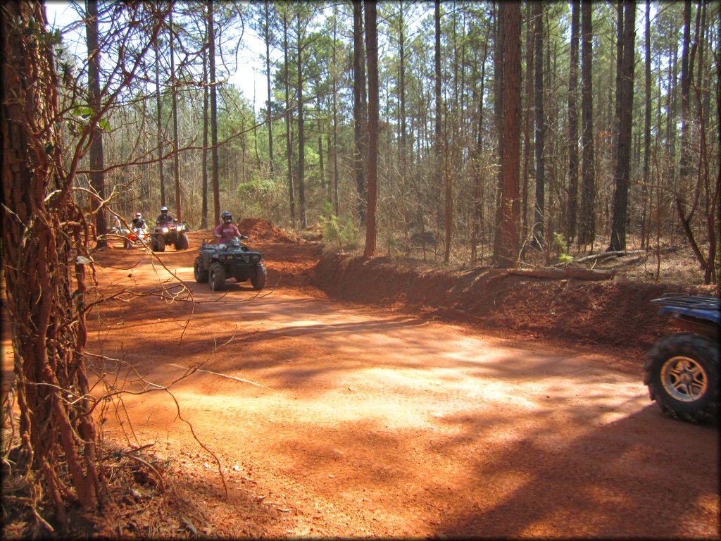 Group of ATV riders in a line riding down wide had hard packed trail.