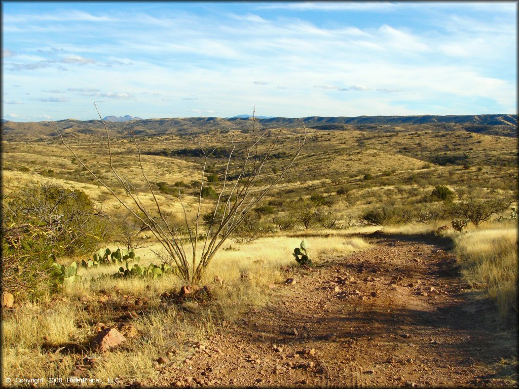 Some terrain at Santa Rita OHV Routes Trail