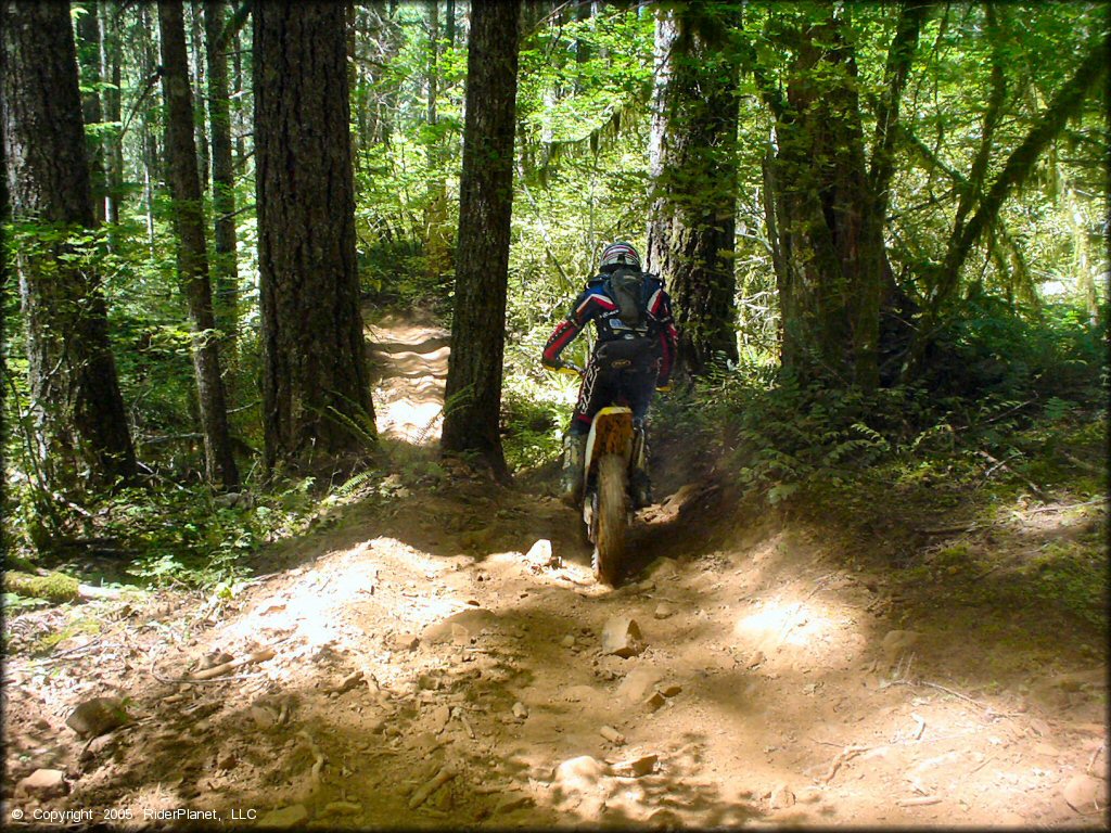 OHV at Upper Nestucca Motorcycle Trail System