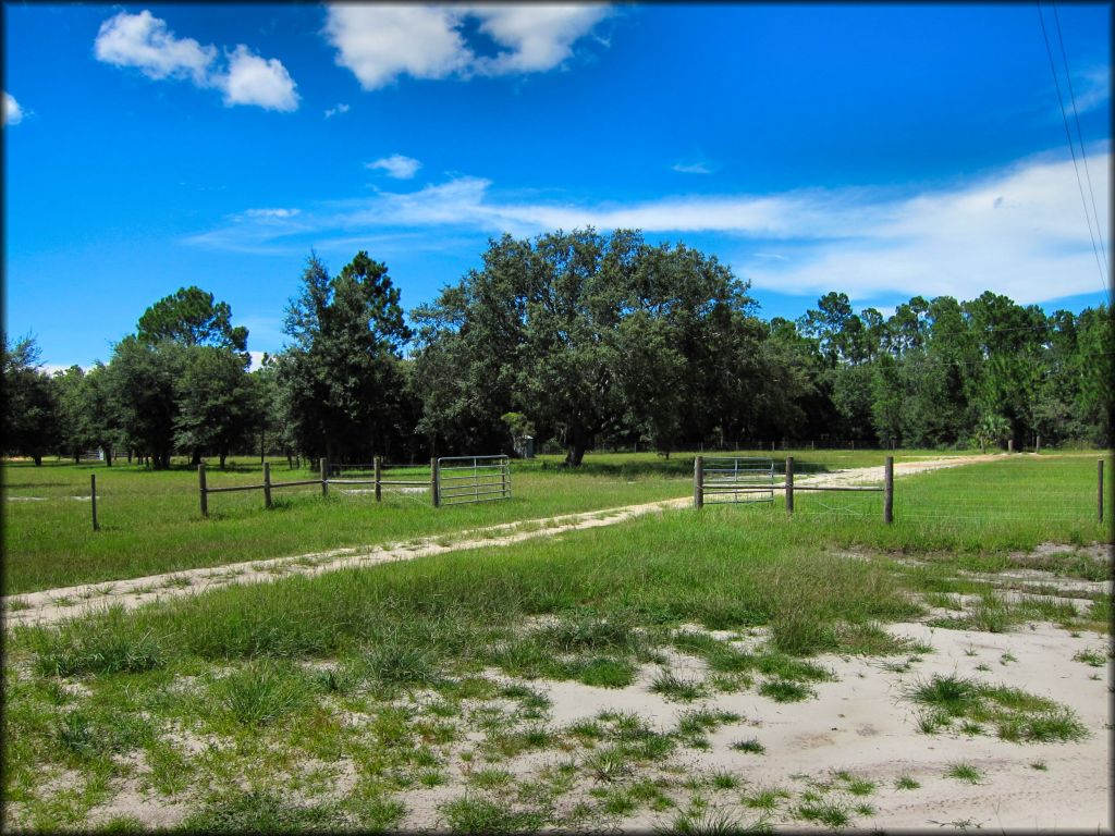 Hog Waller Mud Bog and ATV Park Trail