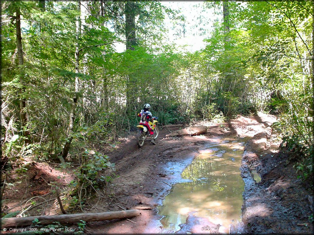Girl on a OHV at Upper Nestucca Motorcycle Trail System