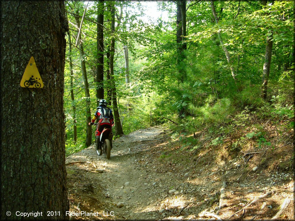 OHV at Freetown-Fall River State Forest Trail