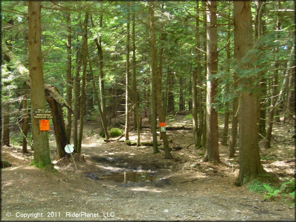 Some terrain at Pisgah State Park Trail